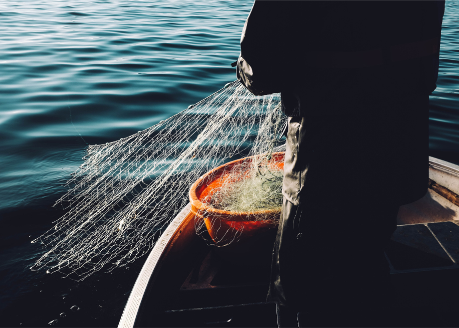 Regnskap for fiskere, redere og sjøfolk