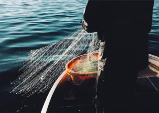 Regnskap for fiskere, redere og sjøfolk