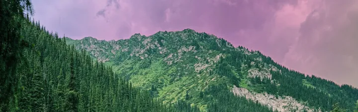 Landskap over et fjell med himmel og skyer. Skogen ligger tett utover. 