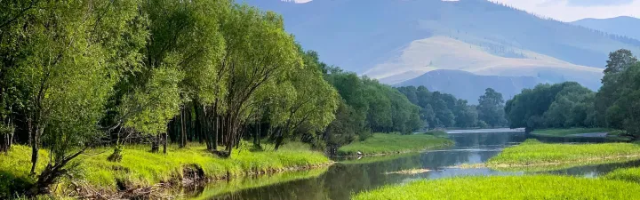 Et fint grønt og frodig område med utsikt til fjellet, en liten bekk som renner igjennom og vakre trær. Det er nesten skyfritt med kun et par små skyer i horisonten