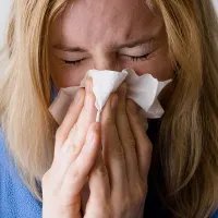 Reglene for egenmelding