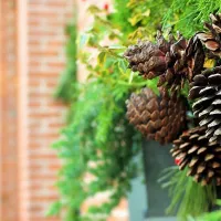 Fri på inneklemte dager