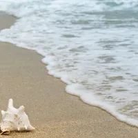 tilbakekalle ansatte fra ferie